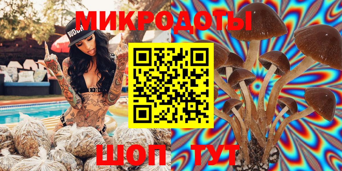 где найти   Вход с VPN  Борзя  Галлюциногенные грибы Psilocybe 